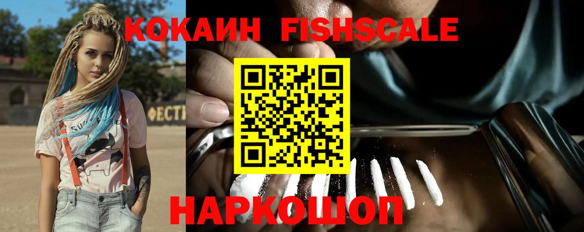 Cocaine Fish Scale  Вход с VPN  Мирный  COCAIN VHQ 