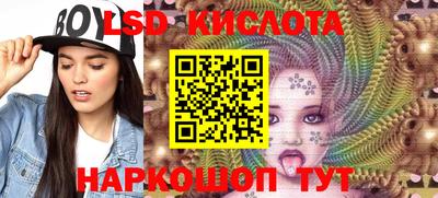 индика Гусев