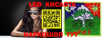 индика Гусев
