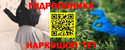 индика Гусев