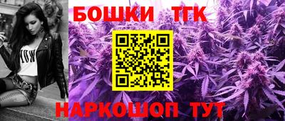 индика Гусев
