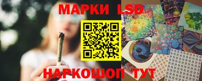 индика Гусев