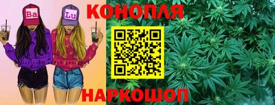 индика Гусев