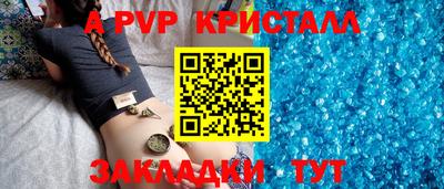 индика Гусев